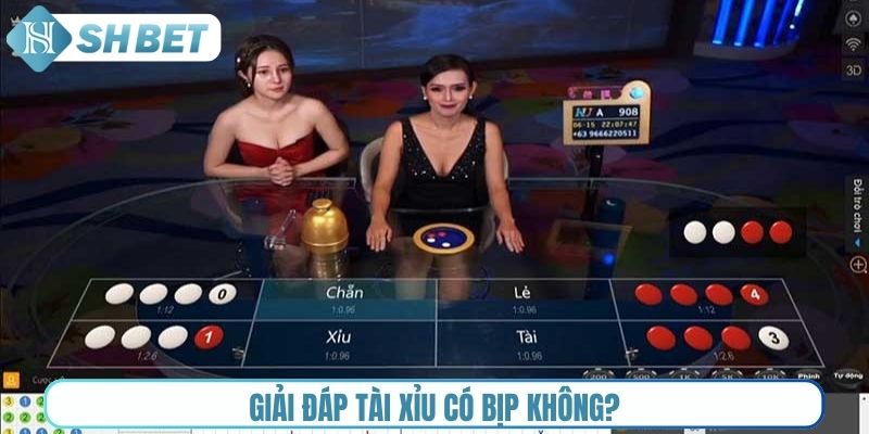 Giải đáp Tài xỉu có bịp không?