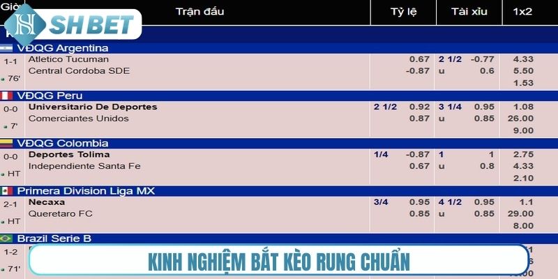 Kinh nghiệm bắt kèo rung chuẩn