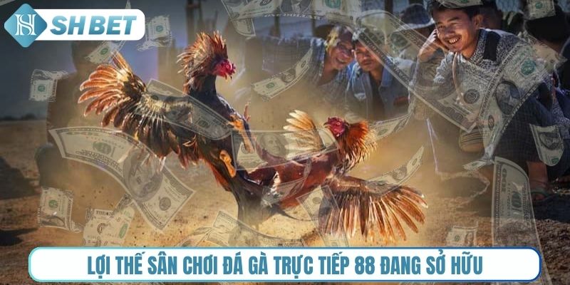Lợi thế sân chơi Đá gà trực tiếp 88 đang sở hữu