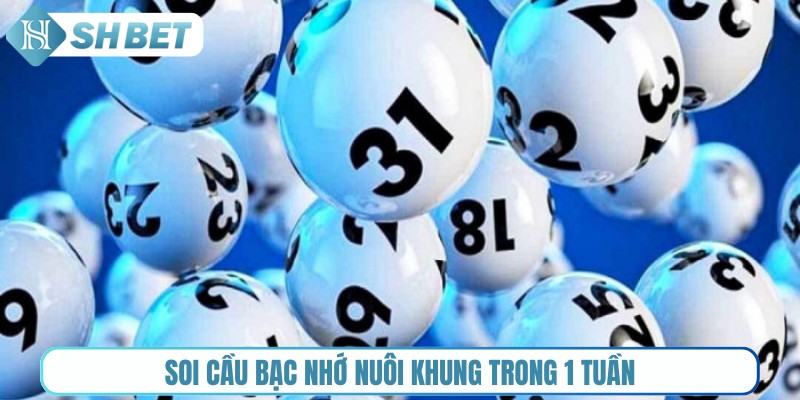 Soi cầu bạc nhớ nuôi khung trong 1 tuần