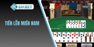 Tiến lên miền Nam