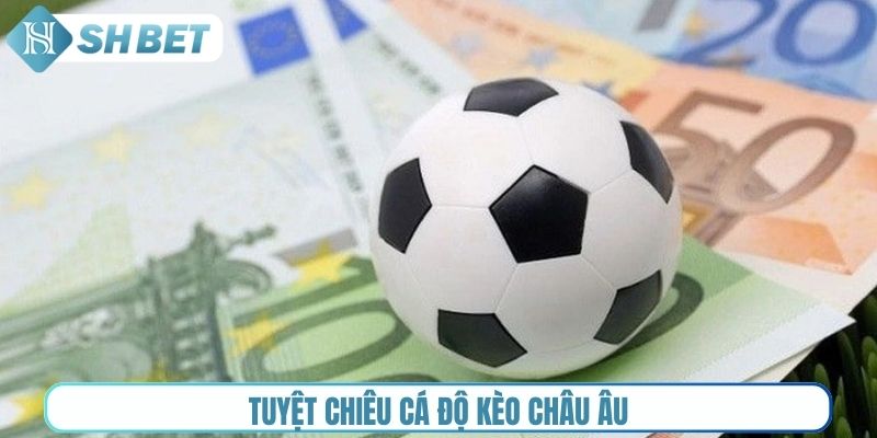 Tuyệt chiêu cá độ kèo châu Âu
