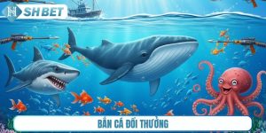 Bắn cá đổi thưởng Shbet