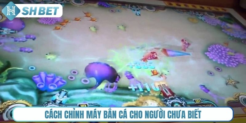 Cách chỉnh máy bắn cá cho người chưa biết