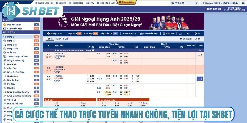 Cá cược thể thao trực tuyến nhanh chóng, tiện lợi tại Shbet